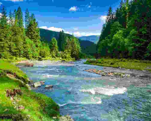 Fern Hills River