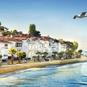 Istanbul: Princes Islands Tour with Hotel Transfer & Lunch