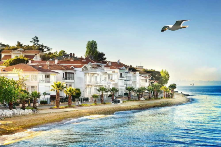 Istanbul: Princes Islands Tour with Hotel Transfer & Lunch