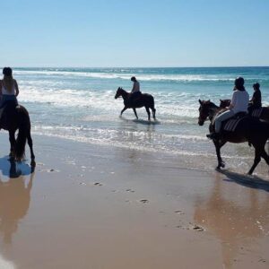 From Antalya: Horseback Riding Tour with Hotel Transfer