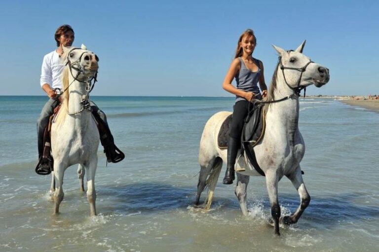 From Antalya: Horseback Riding Tour with Hotel Transfer