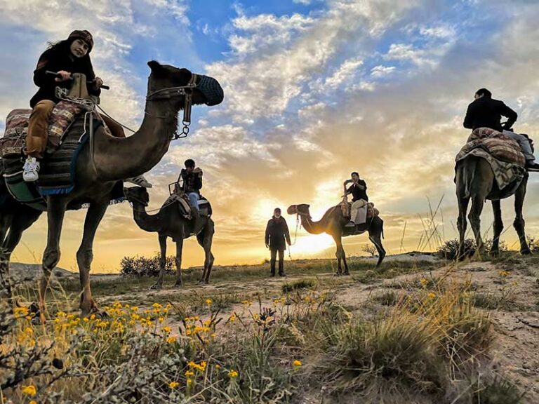 Cappadocia: Camel Ride and Safari Tour