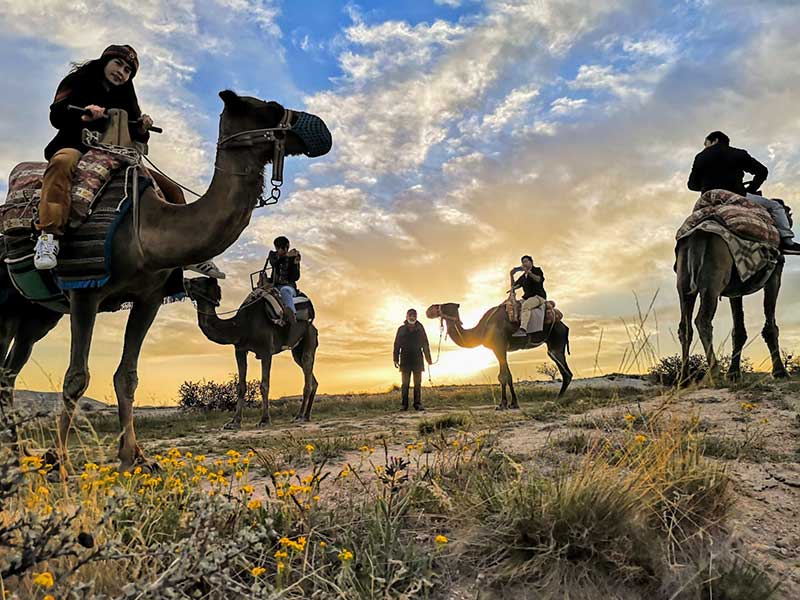 Cappadocia: Camel Ride and Safari Tour