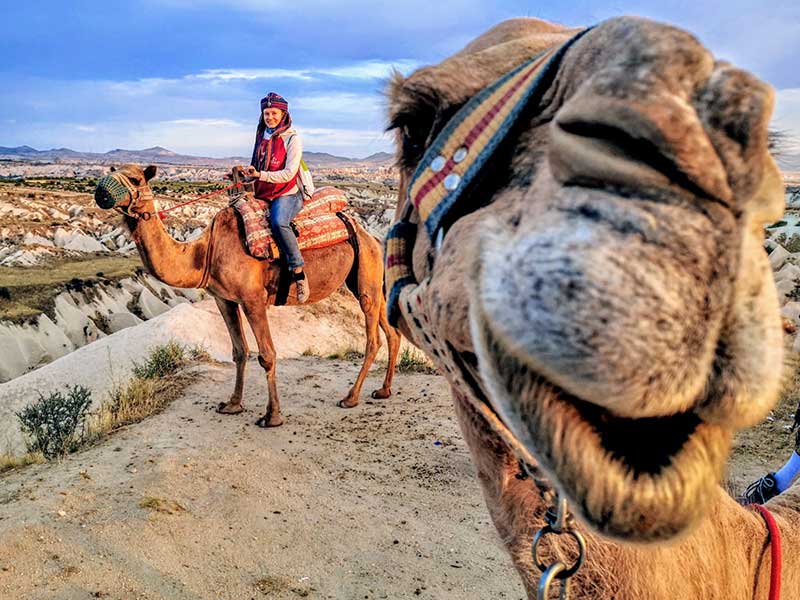 Cappadocia: Camel Ride and Safari Tour